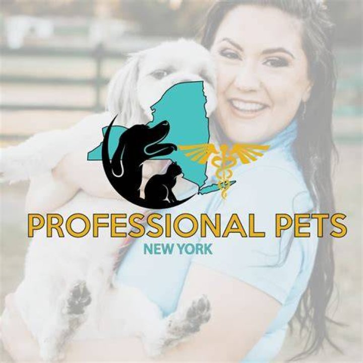 Pets | New York Post