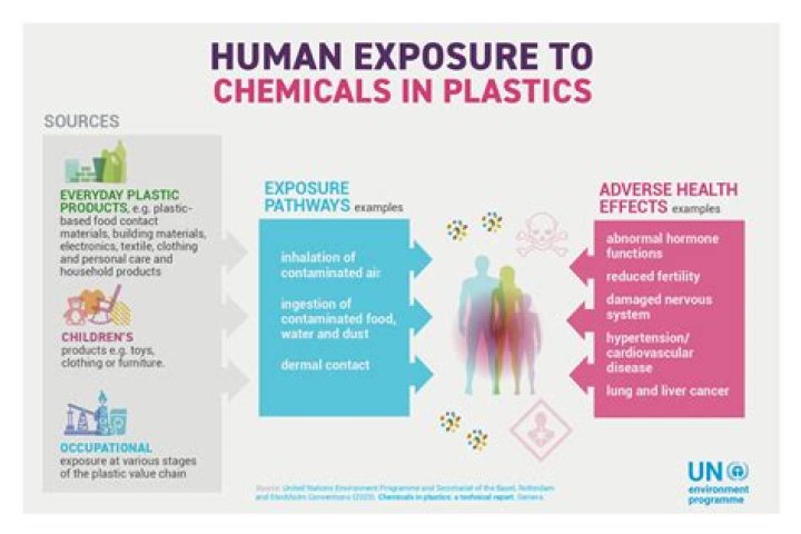 Plastic chemicals 'widespread' in packaged products like Cheerios: report