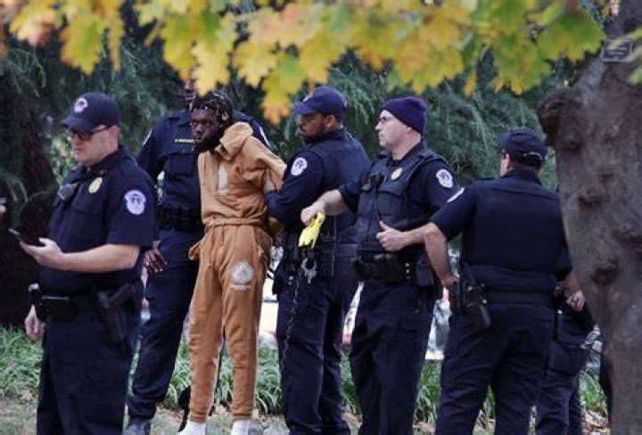 Police tried arresting us for LSU cigar celebration
