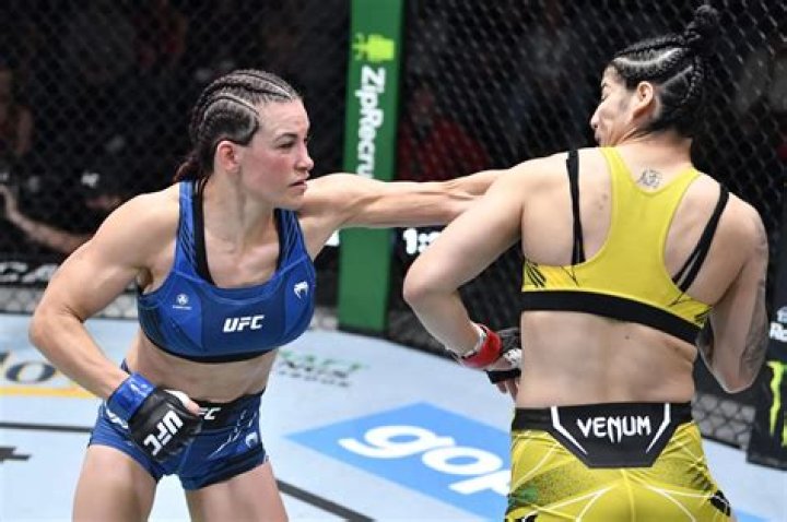 Pregnant UFC legend saves her dog from attacking Mastiff
