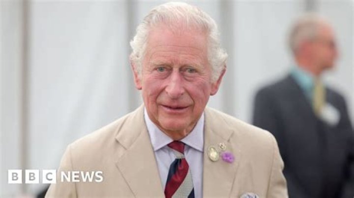 Prince Charles secured $1M donation from bin Laden family: report