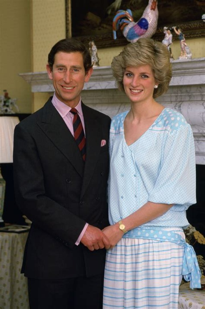 Princess Diana taunted Camilla with a blue polyester dress amid Charles marriage: royal author