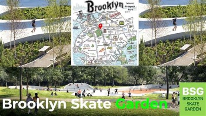 Proposed Brooklyn skate park partially backed by Tony Hawk divides community, politicians: 'Shocking'
