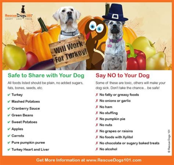 Pumpkin can make your dog sick — here are the parts to avoid