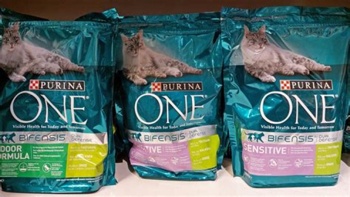 Purina denies TikTok 'rumors' its pet food causes illness, death