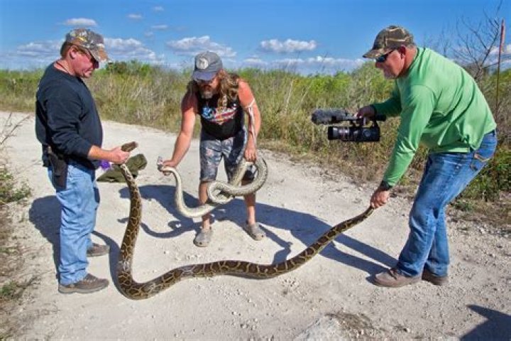 Python hunter recalls catching Florida's longest snake