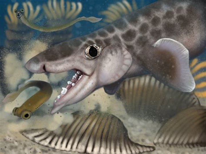 Recently discovered 'sea bugs' can eat entire alligator corpse