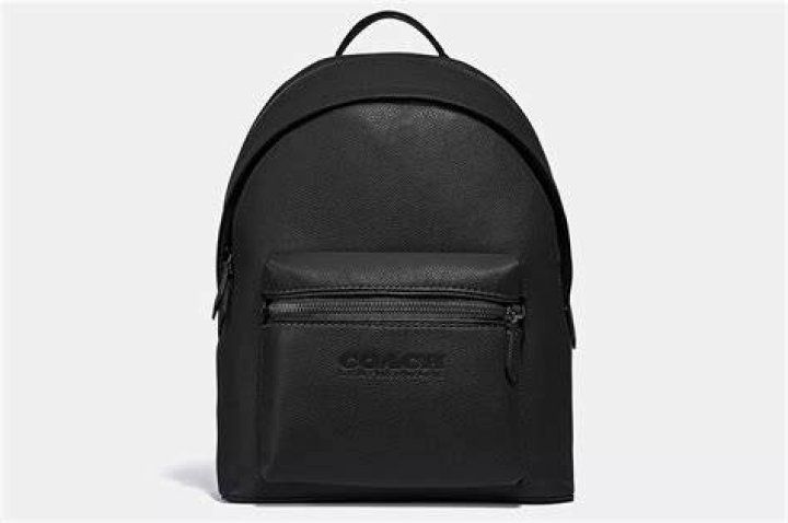 Save 50% on Coach bags for Black Friday