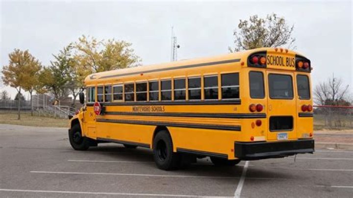 School bus driver resigns after profanity-laced tirade at students: 'Unacceptable'