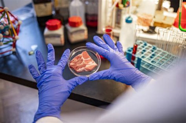 Scientists send lab-made bacon to people with red-meat allergy for study