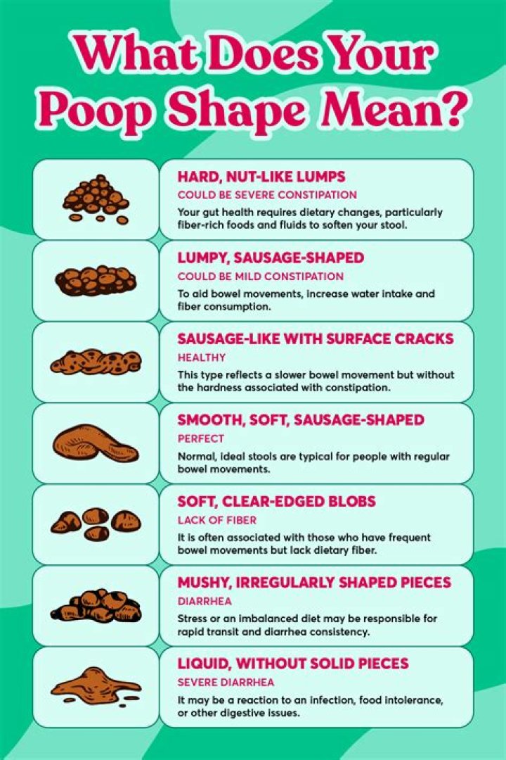 Scientists want photos of your poop to create the world’s first poop database