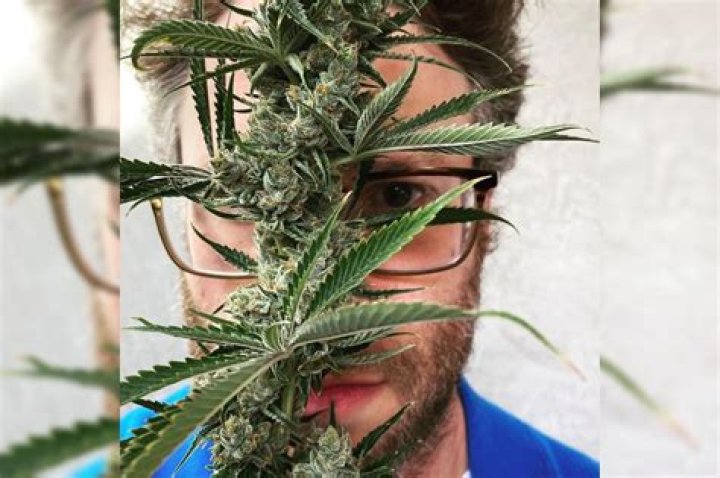 Seth Rogen’s weed company Houseplant to launch in the US