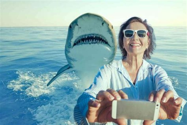 Shark tries to take a bite out of camera man's head