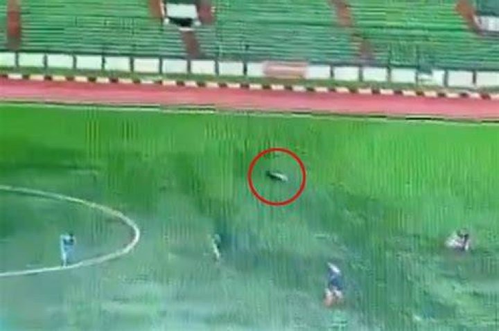 Soccer player struck by lightning, killed during game in shocking video