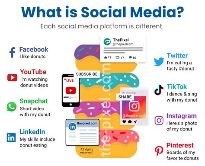 Social media is in flop era now that you can buy blue checks