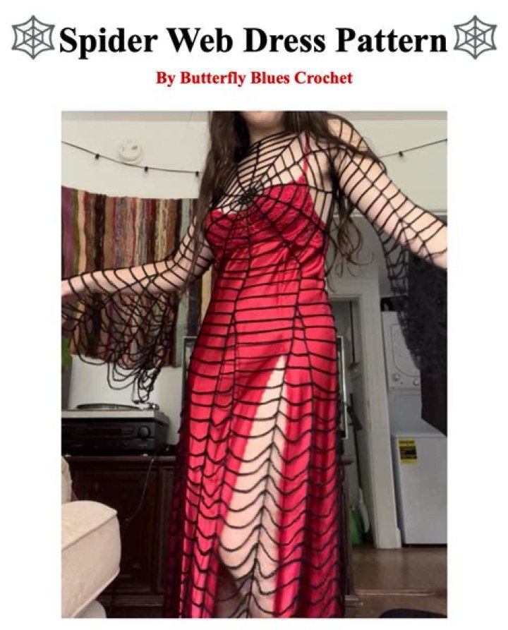 Spider web dress called 'vulgar'