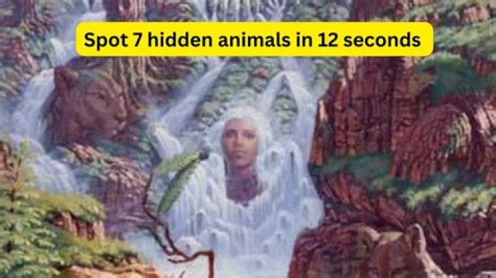 Spot the hidden word in this optical illusion