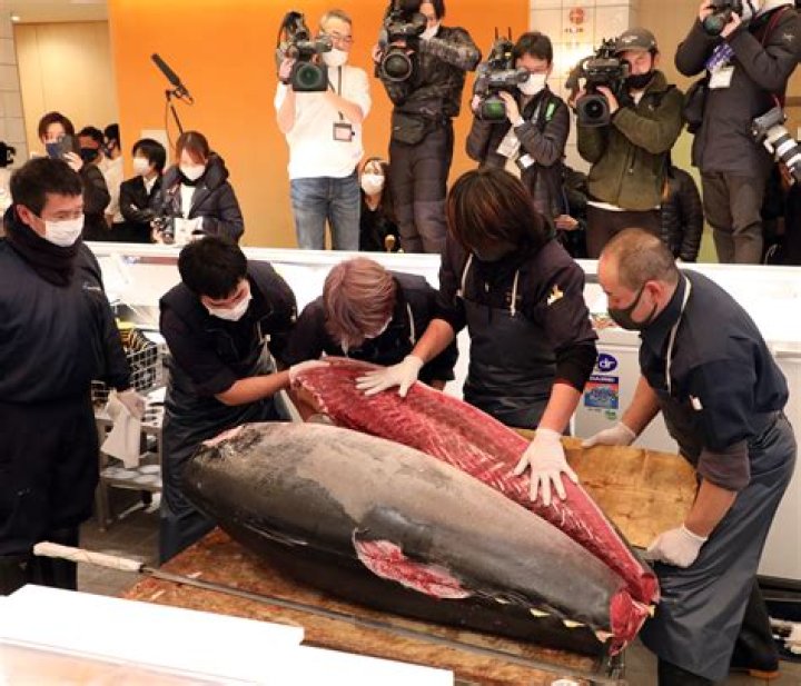 Supermarket in Japan accidentally sells poisonous fish