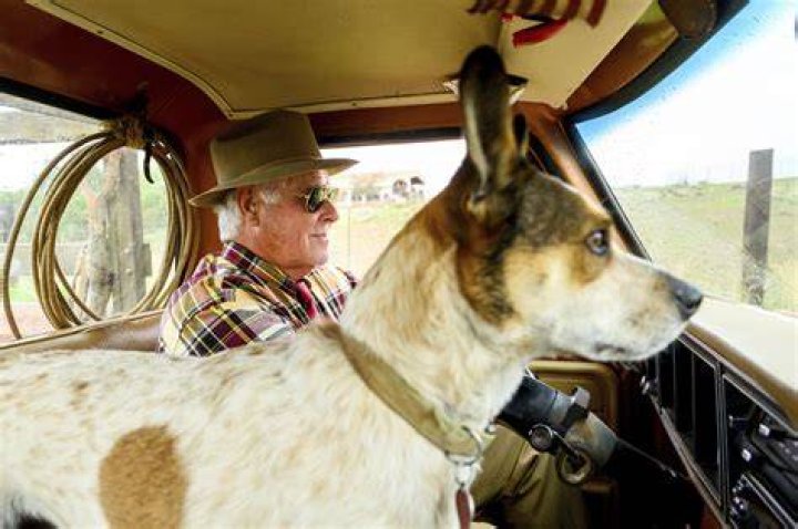 Survivors of Paradise, Calif. fires reflect on recovery and rebuilding five years later