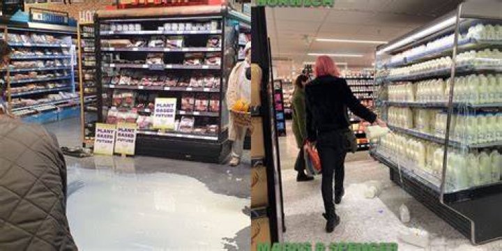 Teens are dumping milk on store floors to protest the ‘destructive’ dairy industry