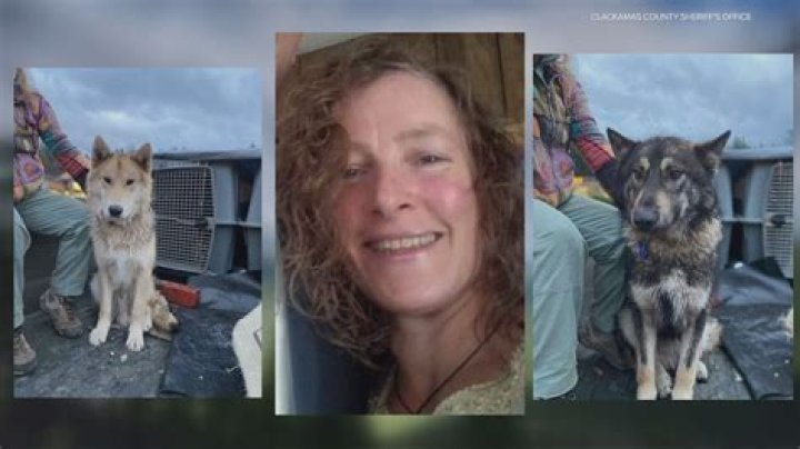 Tennessee couple who went missing in Alaska says they 'didn't sleep and encountered bears' while in wilderness