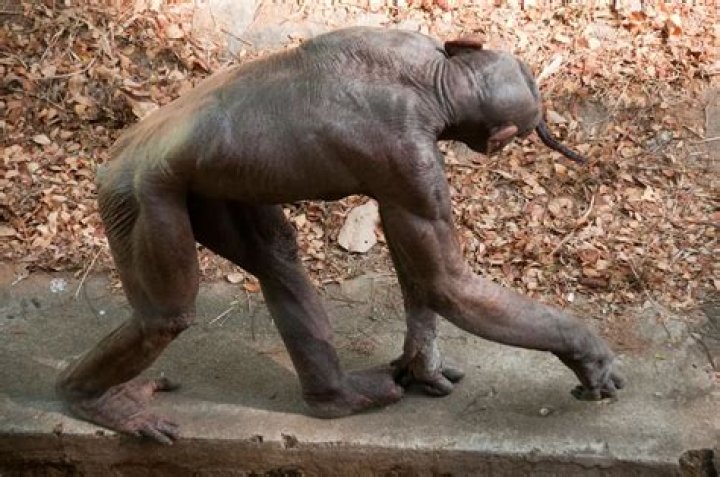 Terrifying ultra-ripped chimps show why we should pray Planet of the Apes never happens