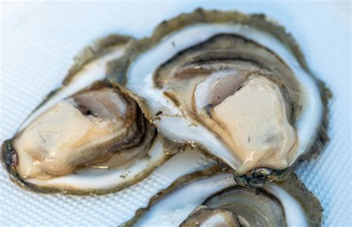 Texas man dies after eating raw oysters over Labor Day weekend