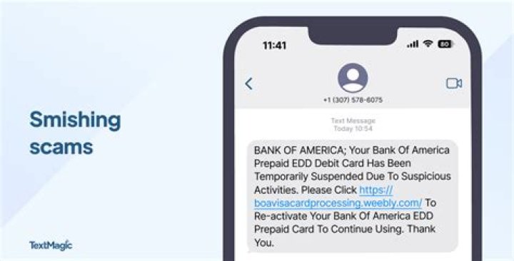 Texting scams are on the rise: report