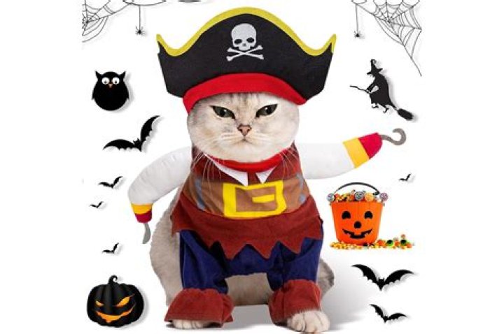 The 24 best pet Halloween costumes for dogs and cats in 2023