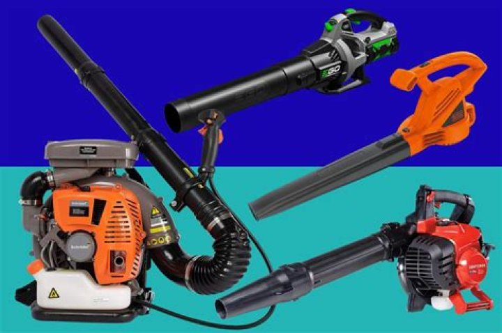 The 9 best leaf blowers for every yard in 2023