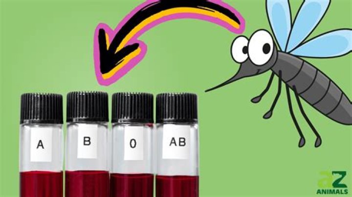 The creepy reason behind mosquitoes' color preference