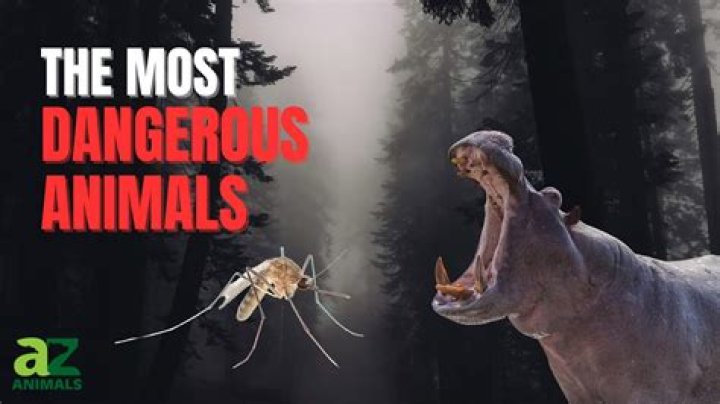 The most dangerous animal in the US will surprise you
