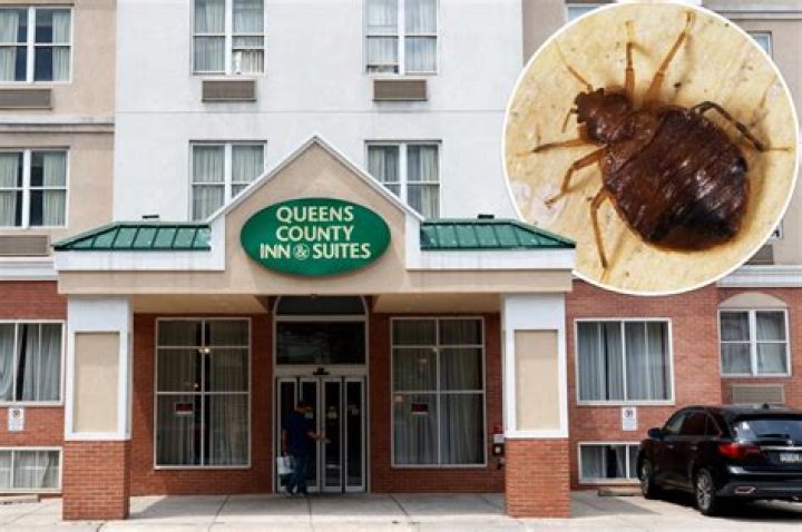 These are the NYC hotels with the worst bed bug complaints
