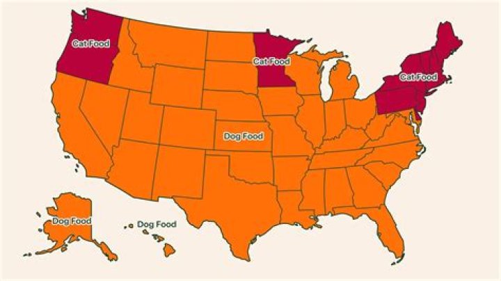 These US states prefer dogs over cats: report