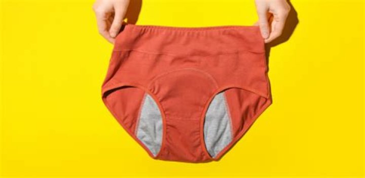 Thinx ‘non-toxic’ period panties settles $5M lawsuit over harmful chemicals