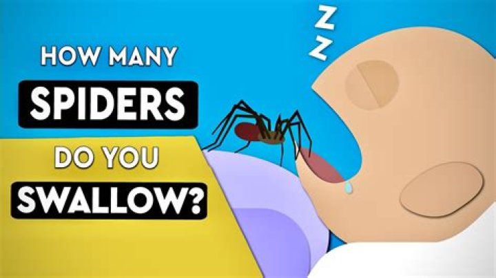 This is how many spiders we actually swallow in our sleep