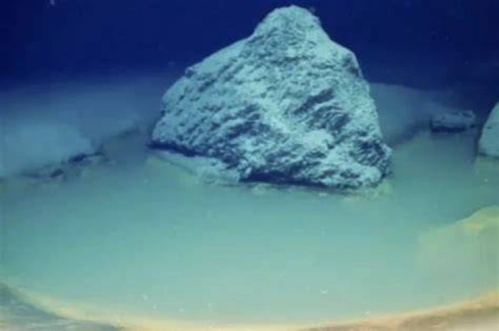 This pool kills everything that swims into it