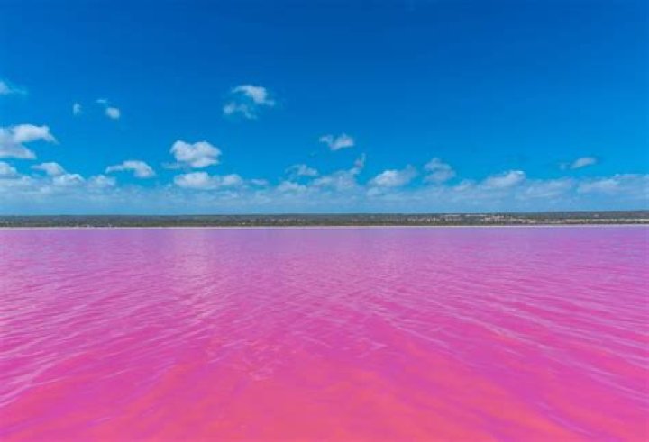 This stunning pink lake in Australia is all natural