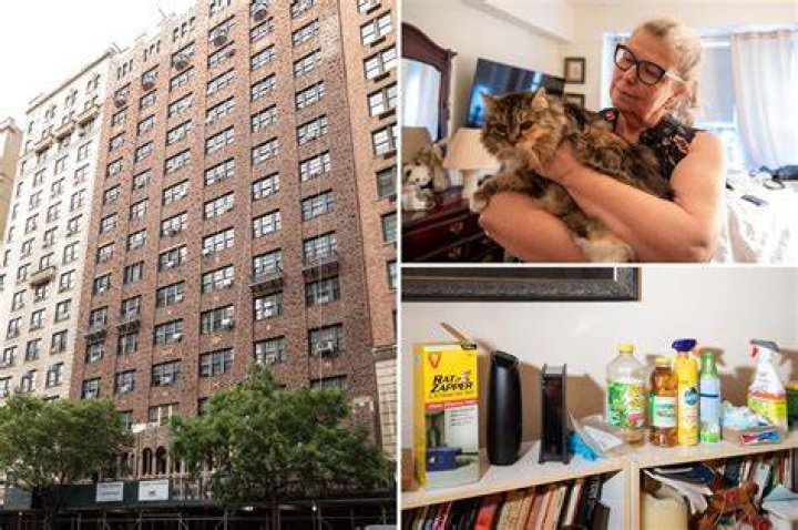 This team wants to study the mice in your NYC apartment