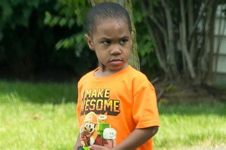 Toddler sporting scrapes and bruises after gorilla scare