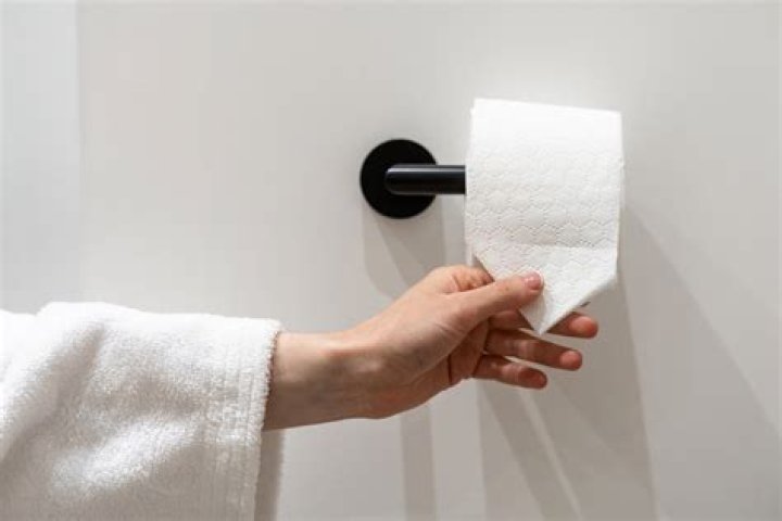 Toilet paper or bidet? Experts debate on bathroom hygiene