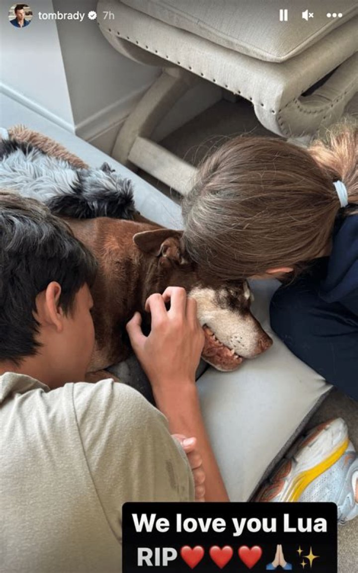 Tom Brady, Gisele Bündchen announce death of family dog, Lua