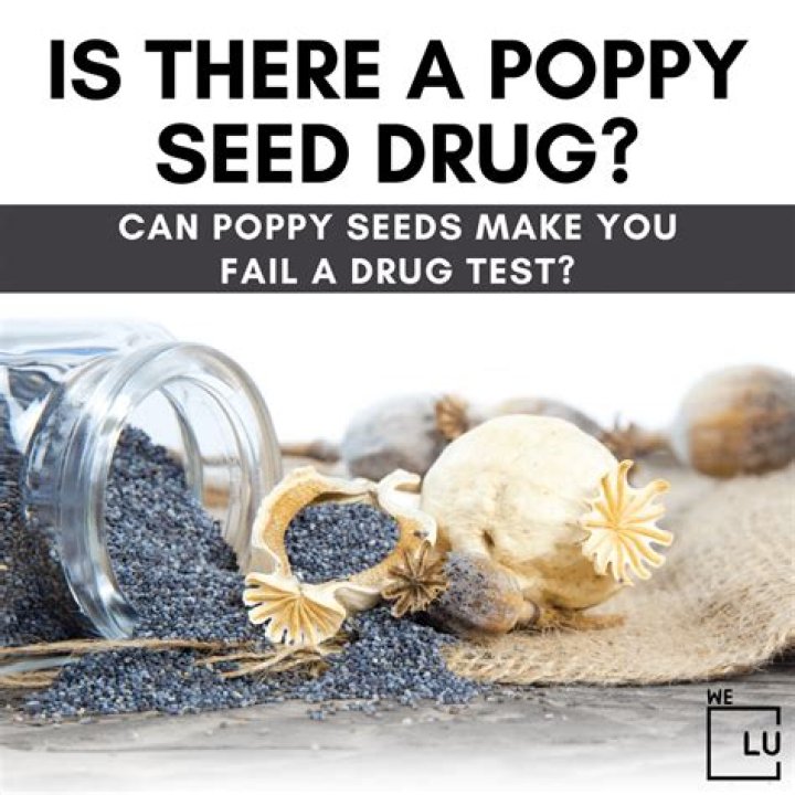 US troops warned about poppy seeds ahead of drug tests