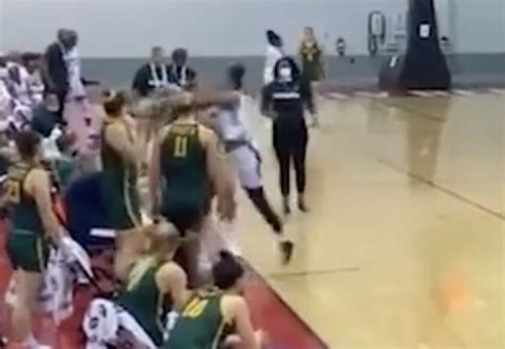 Video of Liz Cambage fight with Nigerian players emerges