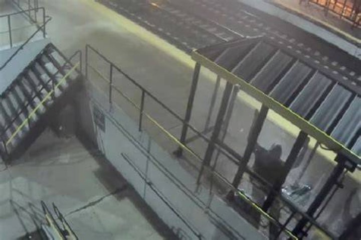 Video shows arrest of Pava LaPere's suspected killer