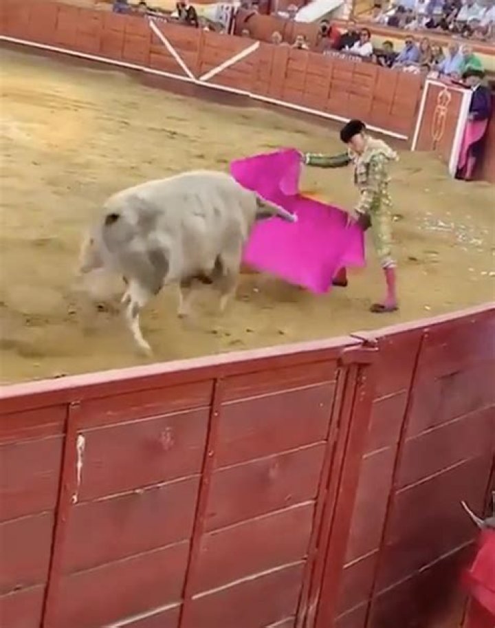 Video shows bull gore matador Alejandro Conquero's rectum