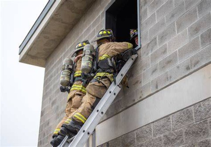 Video shows elderly man climbing ladder to rescue pet parrot in NYC