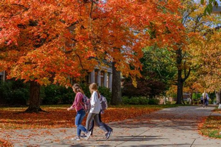 Vietnamese student applies to Miami University, shocked it's in Ohio