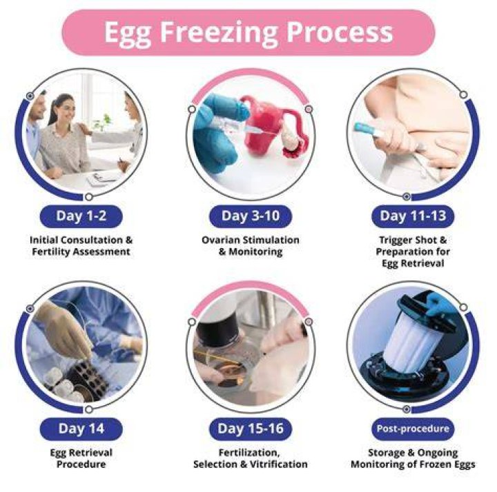 Wall Street 'egging' on freezing egg pregnancy delays