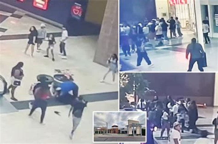 Wedding party turns into wild brawl with Rhode Island cops